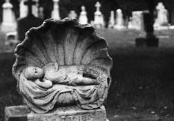 Willie by Kim A. Holz