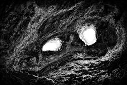 Petrified 5 by Nenad Saljic