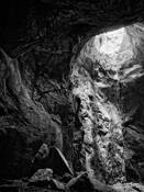 Petrified 6 by Nenad Saljic