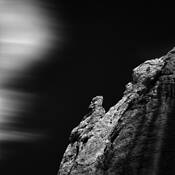 Unity by Nenad Saljic