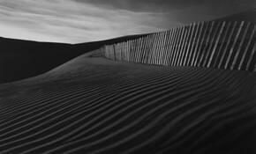 Fence & Patterns by Paul Ng