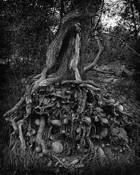 Holding On by Jane Vickers