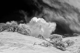 Clouds and Blue Oaks by Malcolm Mosher