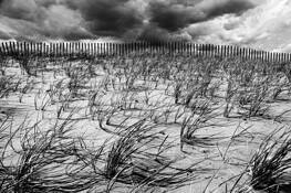 Elements by Jean-Francois Sigrist