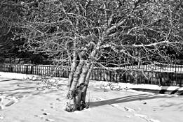 Snow Queen by Jet Fandialan