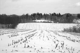 Galena Snow by James C. Wallar