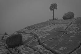 Boulders and Tree by Kenneth Bordfeld