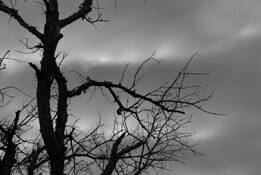 Austin Ranch by Larry Hurlbut