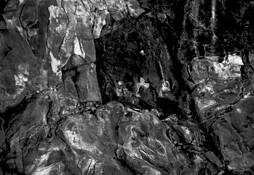 Dali and Two Wisemen by Laurits Haaning