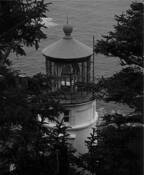 Peek a Boo by Lance Key