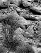 Valley of Fire Rocks by Lindsay Waite