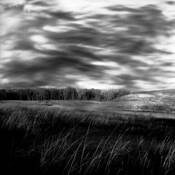 Audubon Spring Creek Prairie by David McCleery