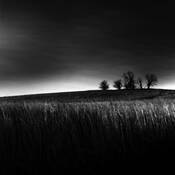 Nine Mile Prairie by David McCleery