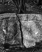 Split Asunder by Dennis Fritsche