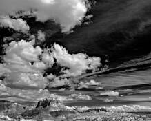 Orphan by Donald H. Fried