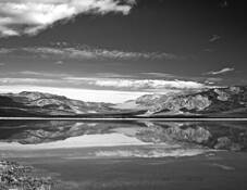 Saline Valley Marsh by Donald H. Fried