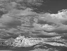 Storm by Donald H. Fried