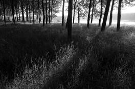 Rising Sun on Danube by Gabriel Stanciu