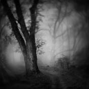 Road to Morpheus by Igor Svibilsky