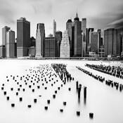 Still Standing by Daniel Portal