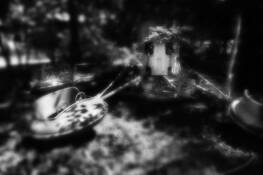 Grounded by Larry Blackwood