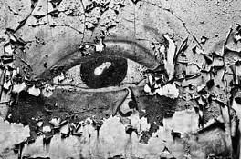 LookingThrough by Robert Miller