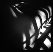 Morning Torso 2 by Dennis Hodges