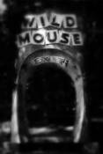 Wild Mouse by Larry Blackwood