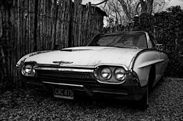 The Car by Laura Rossi