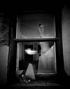 Fleeting Dreams by Wayne Norton