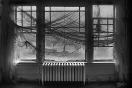 Dreams of Expecation by Bob Johnson