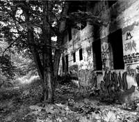 Concrete City by Susan B. Griffith