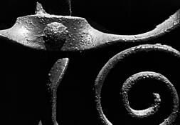 Window Grille by Leonard Volk