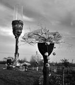 Giant Wine Glass by Sam Anvari