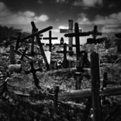 Crosses by Patricia Sweeney