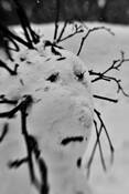 Snowman by Magnus Karlson