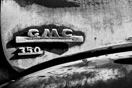 Fender by Ray Germann