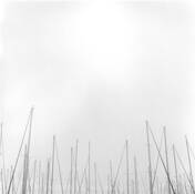 Velas by Rebecca Lyn Saffran