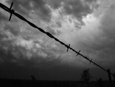 Barbed Wire by Richard Allen Ashmore