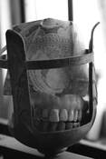 Teeth by Liza Golter