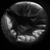 Catcher's Mitt by Mary Woodman