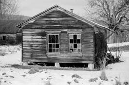 Hen House by Michael A. McCullough