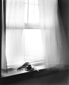 Flight Plan II by Eleanor Owen Kerr