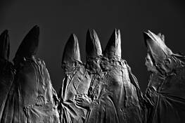 Procession by Jim and Anne Mitchell