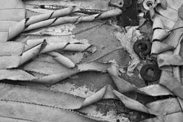 Curls by Joan M. Ladendorf