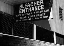 Bleacher Creatures by Joanne Scherf