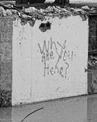 Why Are You Here by John Bayler