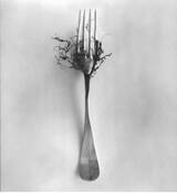 Fork and Roots by Elena Ehrenwald