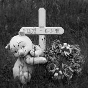 Roadside by John Diephouse