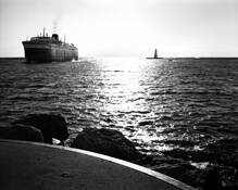 The Badger by Gregory D. Seman